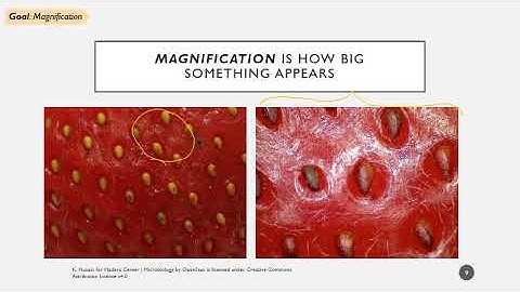 BIOL31: Microscopy - How We See the Invisible World