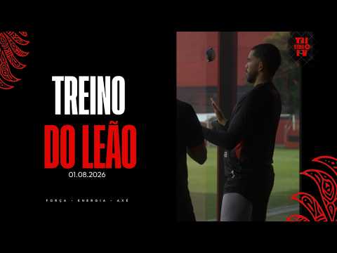 Treino Do Leão