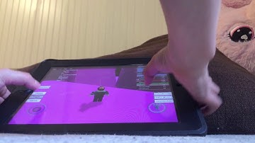 The hardest level in speed run 4