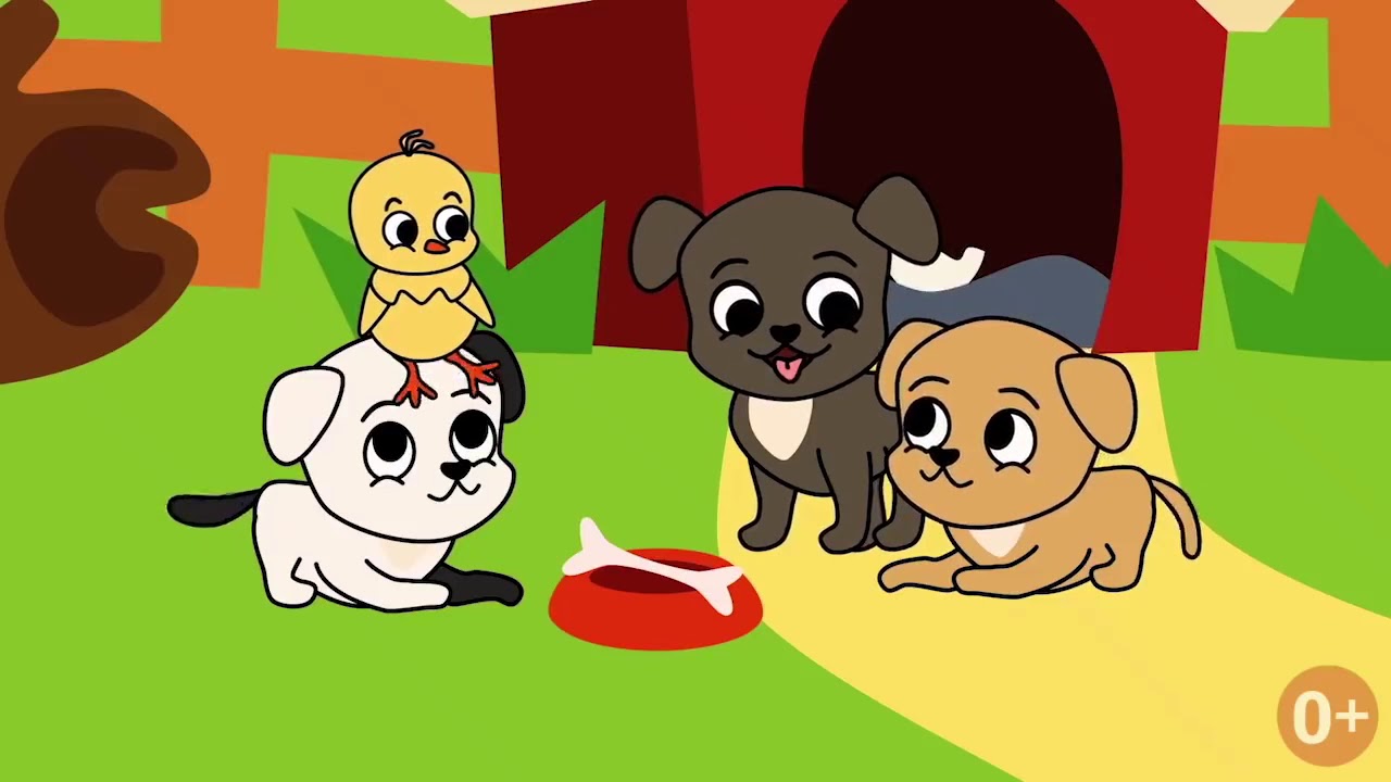 цыпленок пи пи. цыпа цыпа пи пи пи мультик. цыплёнок пи цыплёнок пи цыплёнок пи. цыпленок пи мультик.