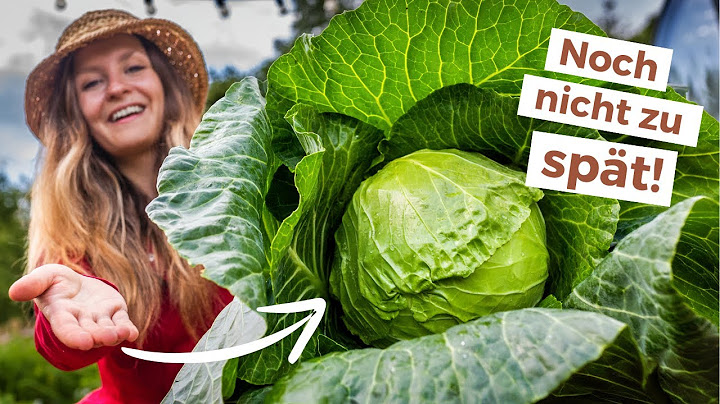 🥕 23 Gemüse, die du im Juli noch anpflanzen kannst