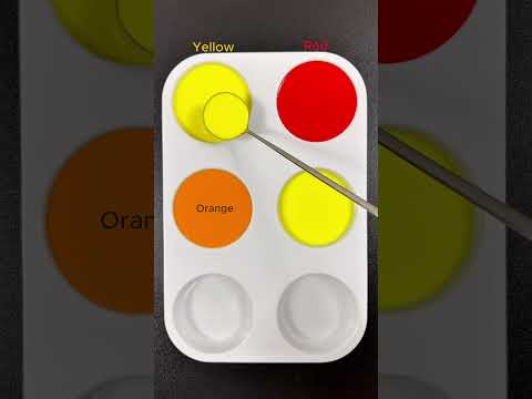 Create 4 colors