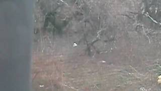 DSCN0552.AVI