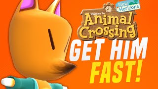 HOW To Get REDD after Animal Crossing 1.2 Update! (New Horizons Tips)