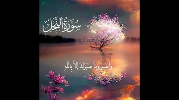 ادْعُ إِلَىٰ سَبِيلِ رَبِّكَ بِالْحِكْمَةِ وَالْمَوْعِظَةِ الْحَسَنَةِ ۖ ﴾ تلاوة عطرة من سورة النحل