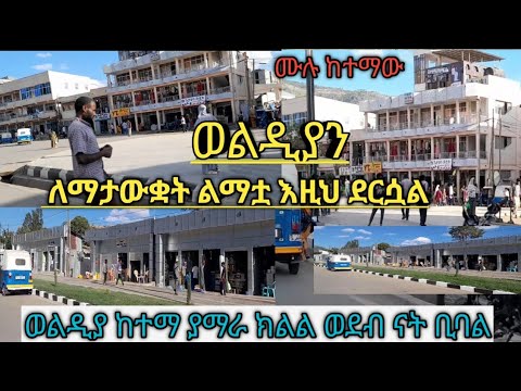 ወልዲያን ለማታቋት አሁን ያለችበት ደረጃ ውቢቷ ወልዲያ ከተማ የሁሉም መድና ወልዲያ ማለት የአማራክልል ወደብ ናት