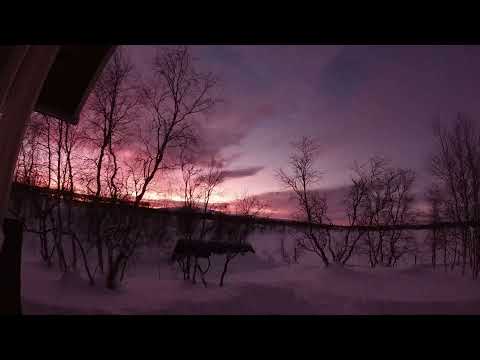 Ark Patrol Let Go ASMR MusicHygge