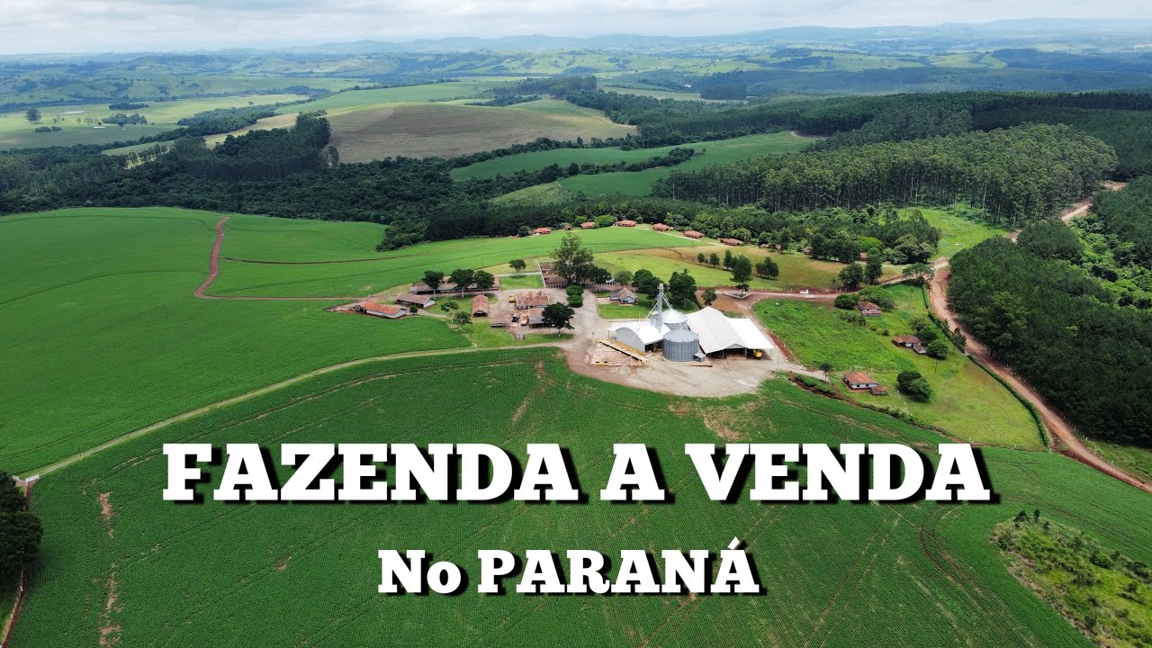 FAZENDA A VENDA NO PARANÁ 924 ALQUEIRES - EXTREMA PRODUÇÃO