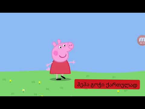 პეპა გოჭი-თოჯინების საავადმყოფო