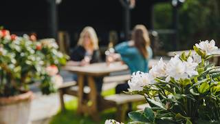 Pub in the park