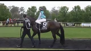 Rockhampton AUSTRALIA 03 Nov 2025 at 4.15am in UK 🇬🇧 time 