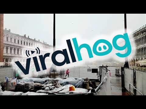 Rain Pours on Tourists in Venice || ViralHog