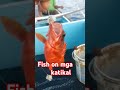 fish on mga katikal #fish #fisherman #fishing