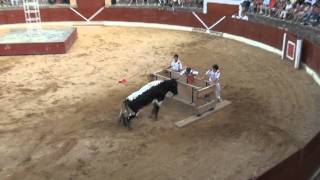 (HD) EXHIBICIÓN DE BRAVURA Y OBSTACULOS CERVERA DEL RIO ALHAMA ( LA RIOJA ).wmv