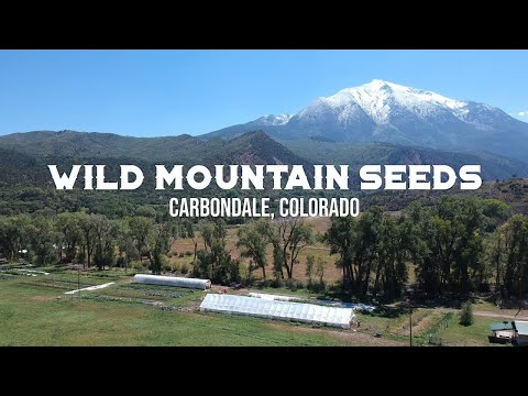 Wideo: Warzywne ogrodnictwo w górach: Uprawa warzyw na dużych wysokościach
