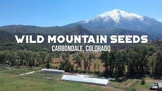 Wild Mountain Seeds: No-Till, High Elevation Organic Seeds & Vegetables