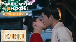 Любовь меняет людей💞Роман тигра и розы【Русская озвучка】传闻中的陈芊芊【Чжао Лусы,Дин Юйси】