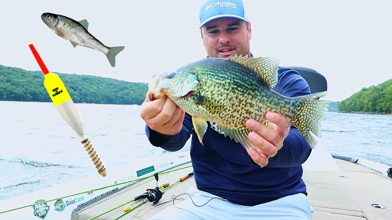 Simple Bobber and Minnow rig catches crappie all year 