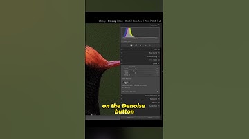 NEW Lightroom A.I. Denoise is INCREDIBLE!!