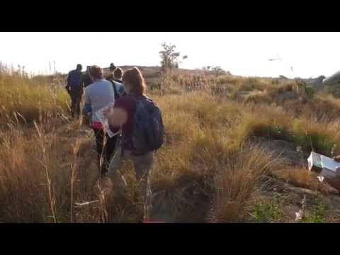 Field Biology