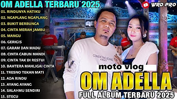 RINDUNYA HATIKU - BUKIT BERBUNGA - Difarina Indra Adella - ADELLA FULL ALBUM TERBARU 2025 no iklan