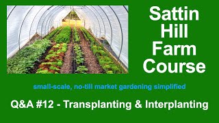 Sattin Hill Farm Course Q&amp;A #12 - Transplanting &amp; Interplanting