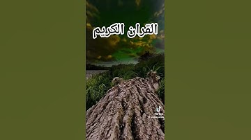 القران الكريم #اكسبلور #edit #ياسر_الدوسري #راحة_نفسية #المصحف #الرحمن #لايك