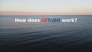 How does 13TABS work? screenshot 2