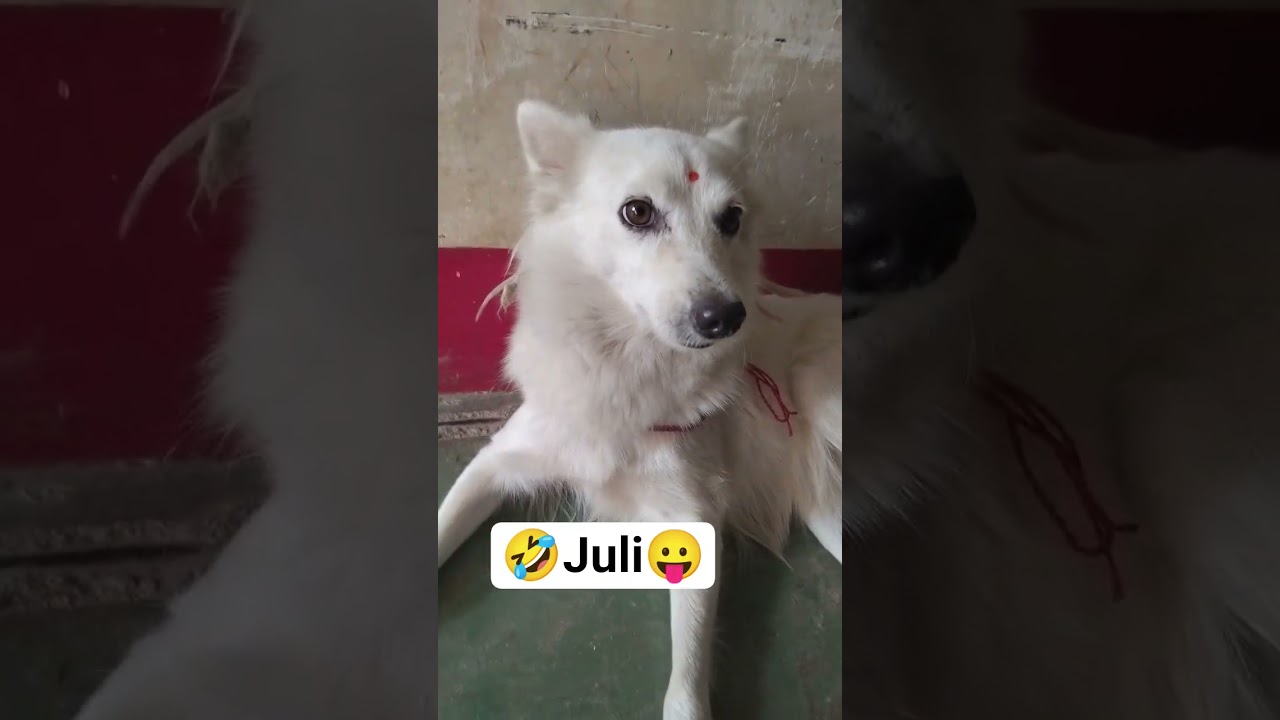#Julie