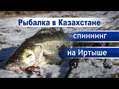 Рыбалка в Казахстене на Иртыше.