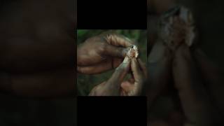 Blood Diamond 💎🔥 | The Dark Truth Behind The Diamonds