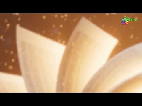 iPlus TV Live - i Plus TV Live