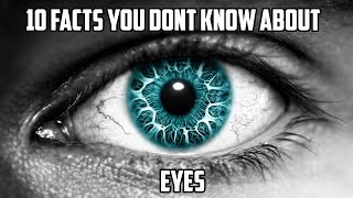 10 Facts You Dont Know About Eyes - Quicktops