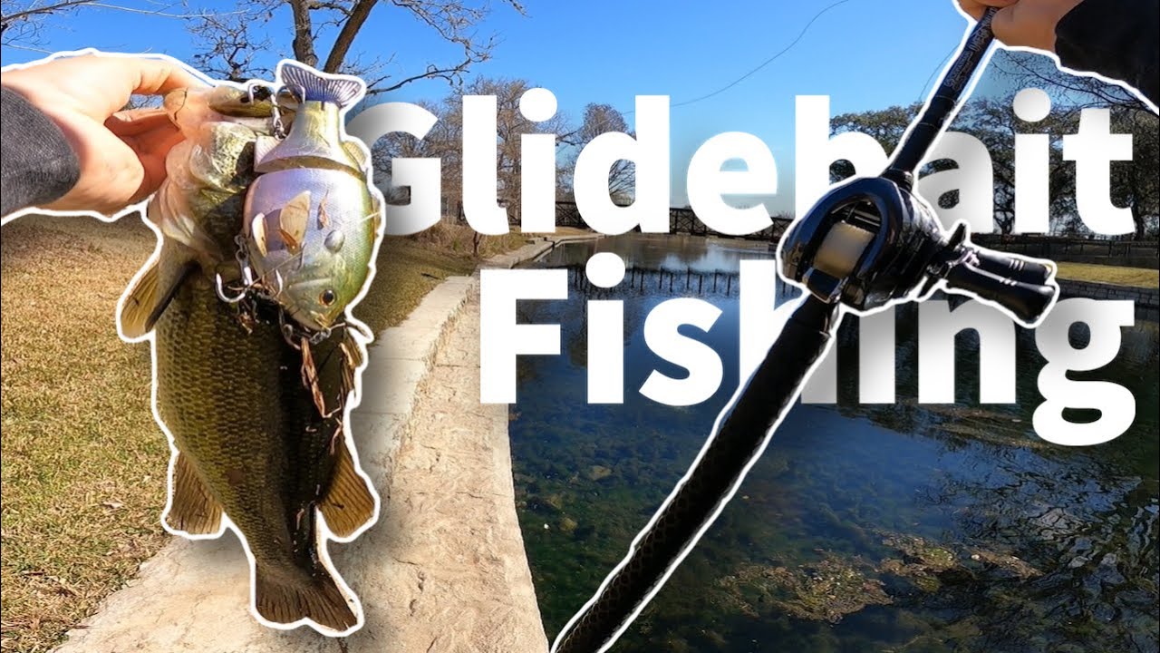 fishing BIG SWIMBAITS in natural springs YouTube