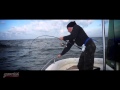 Fishing with DUO #7 -  Tuna on Press Bait Saira