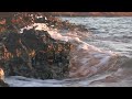Trust within the Storm | A 2-Minute Faith Reflection with Porch Light Pages