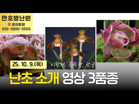 유튜브 썸네일