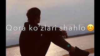 Shahruz (ABADIYA)-zebo