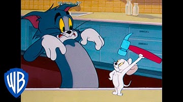 Tom & Jerry | The Dangerous White Mouse | Classic Cartoon | WB Kids