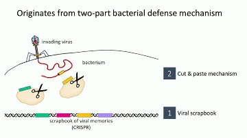 BEARS 2019 Jennifer Listgarten  - Machine learning for protein engineering