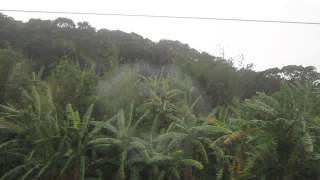 2014.01.21 第1147次區間車[基隆發開往新竹]樹林-新竹窗景Part4 中壢-楊梅