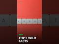 Top 5 Wild Facts About How The Internet Actually, Explained Simply #howitworks #fyp #Shorts #Tech