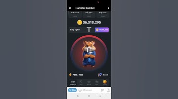 13 July Daily cipher code on Hamster kombat