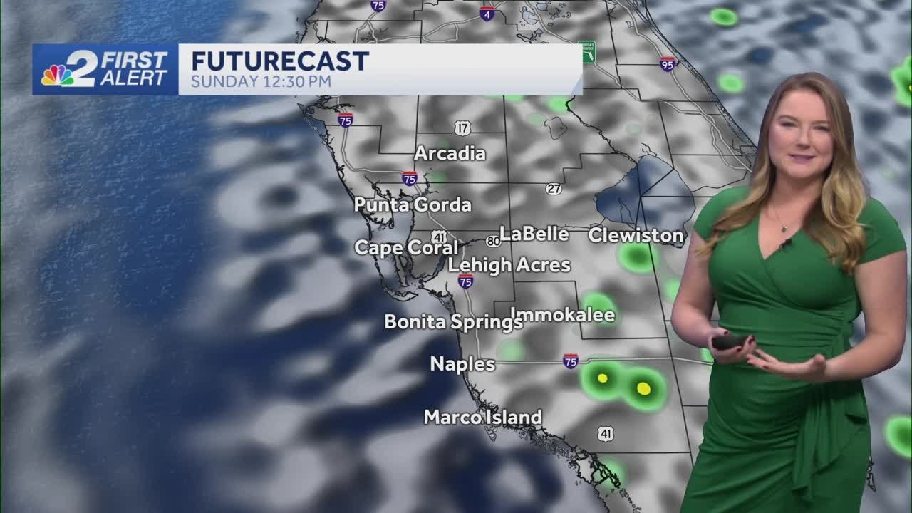 Breezy end to the weekend with Isolated showers across the Gulf Coast ...