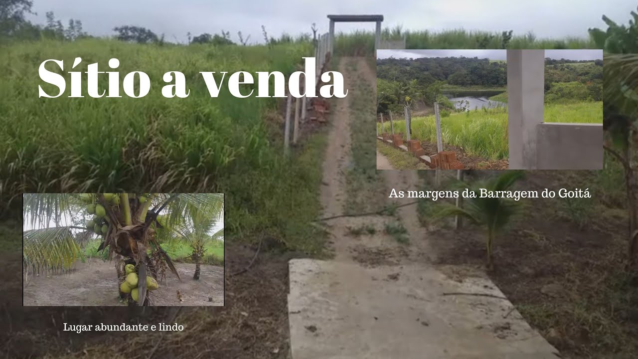 sítio a venda com casa top. o dono baixo o valor 30mil a menos veja!