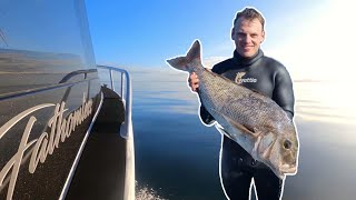 20Lb Snapper On The Snoop In Midwinter