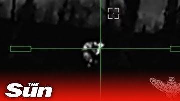 Ukrainian sniper shoots group of Russian soldiers down but spares rabbit with marksmen skill Ukrainian sniper shoots group of Russian soldiers down but spares rabbit with marksmen skill