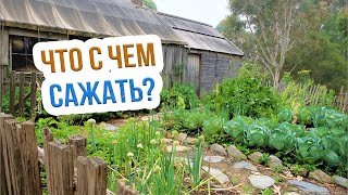 Смешанные посадки овощей. Совместимость растений на огороде от Екатерины Новиковой