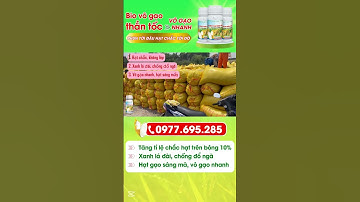 Bio Vô Gạo Thần Tốc – Bí Quyết Giúp Lúa Chắc Hạt - Nhà Nông Trúng Mùa