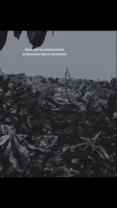 STORY WA TERBARU  || SEMACAM LITERASI😁